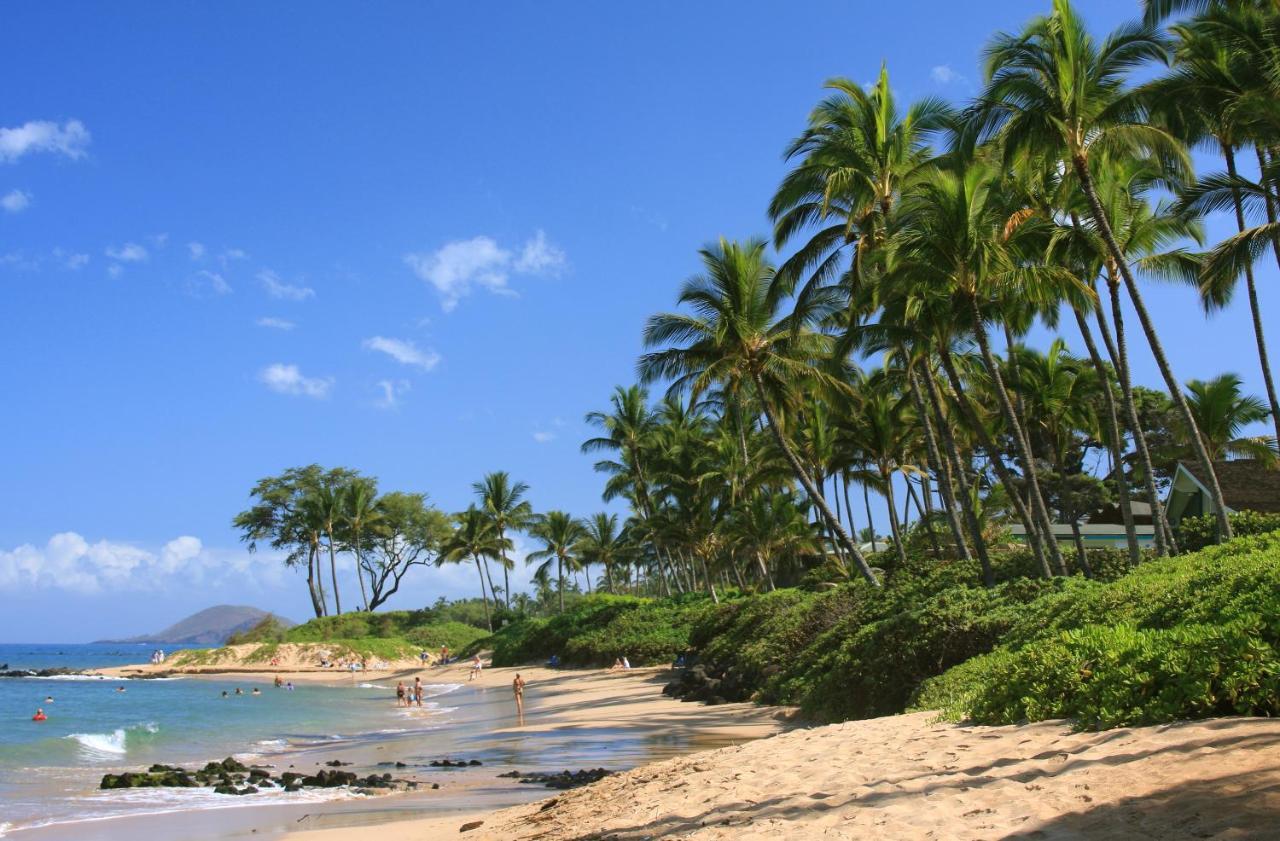 Apartment Charming Loft 2br With Free Parking & Near Beach!