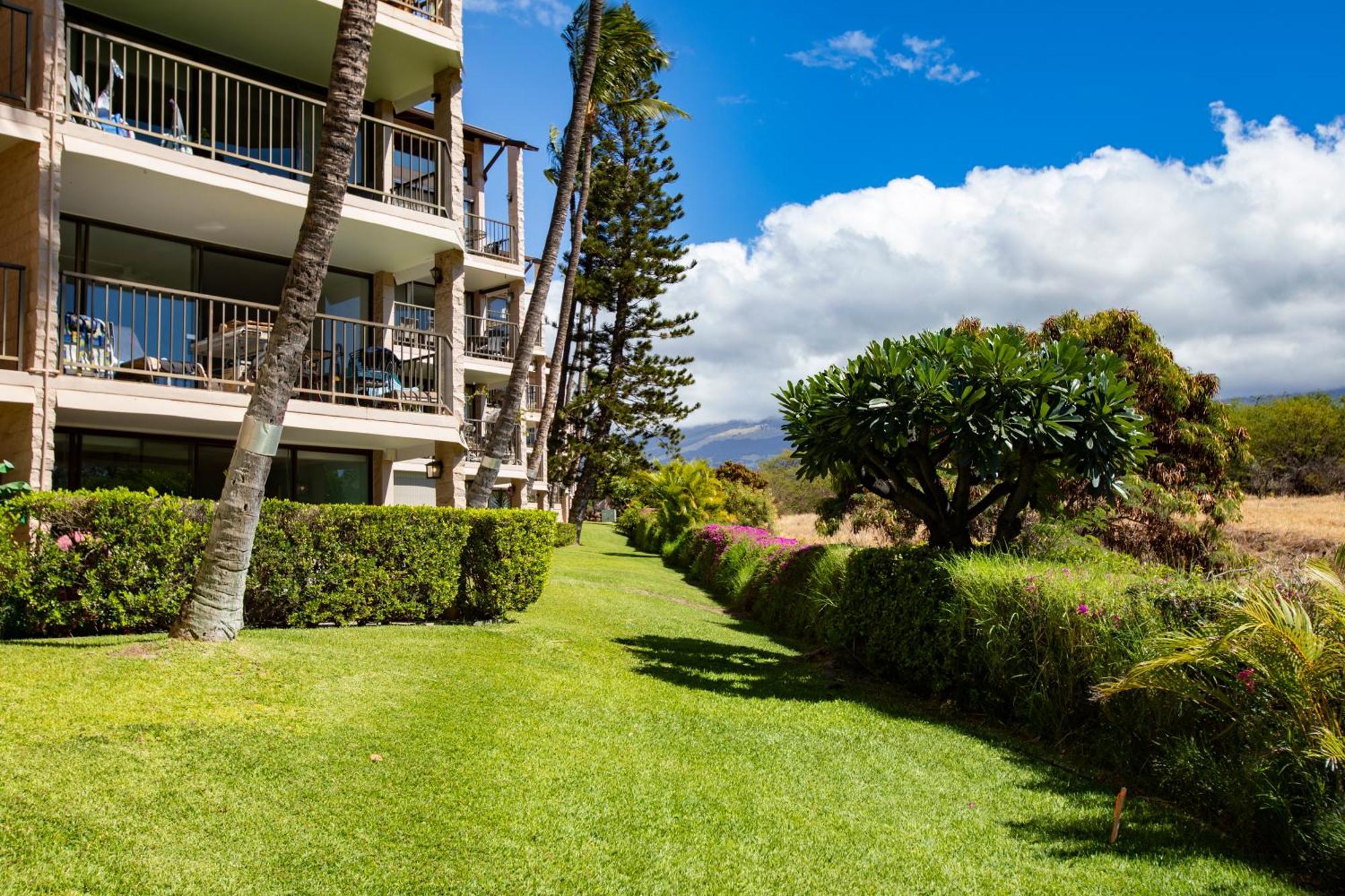 Charming Loft 2br With Free Parking & Near Beach! * Kihei