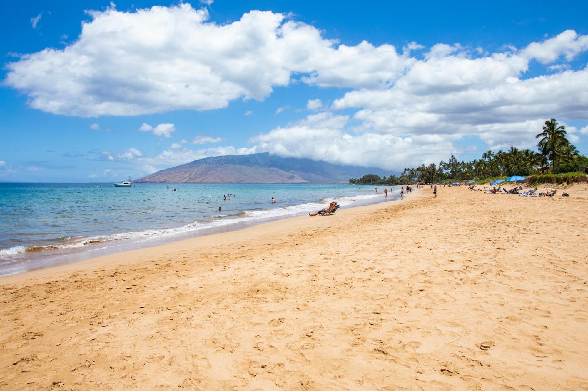 Apartment Charming Loft 2br With Free Parking & Near Beach! Kihei