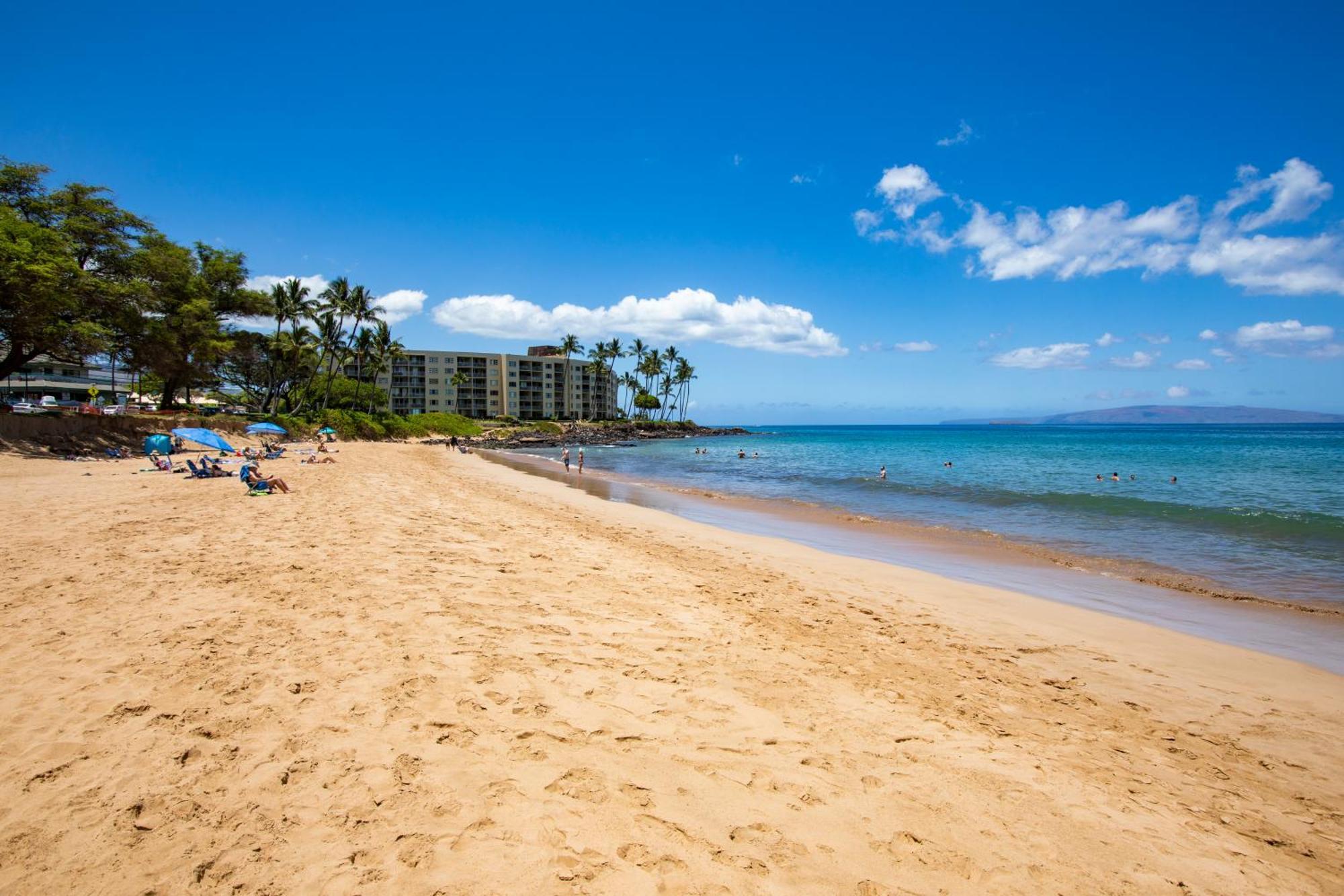 Charming Loft 2br With Free Parking & Near Beach! * Kihei