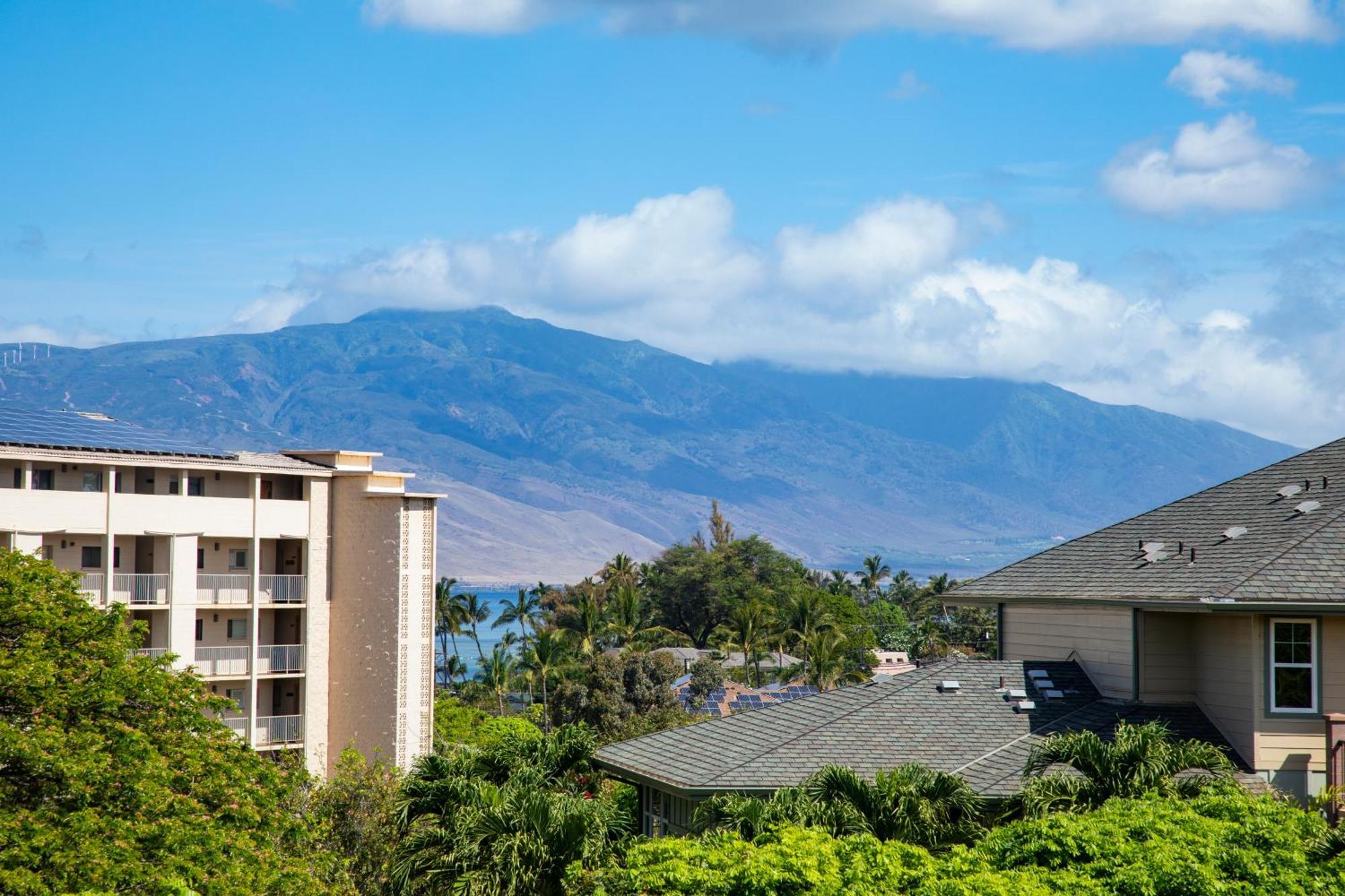 Apartment Charming Loft 2br With Free Parking & Near Beach! Kihei