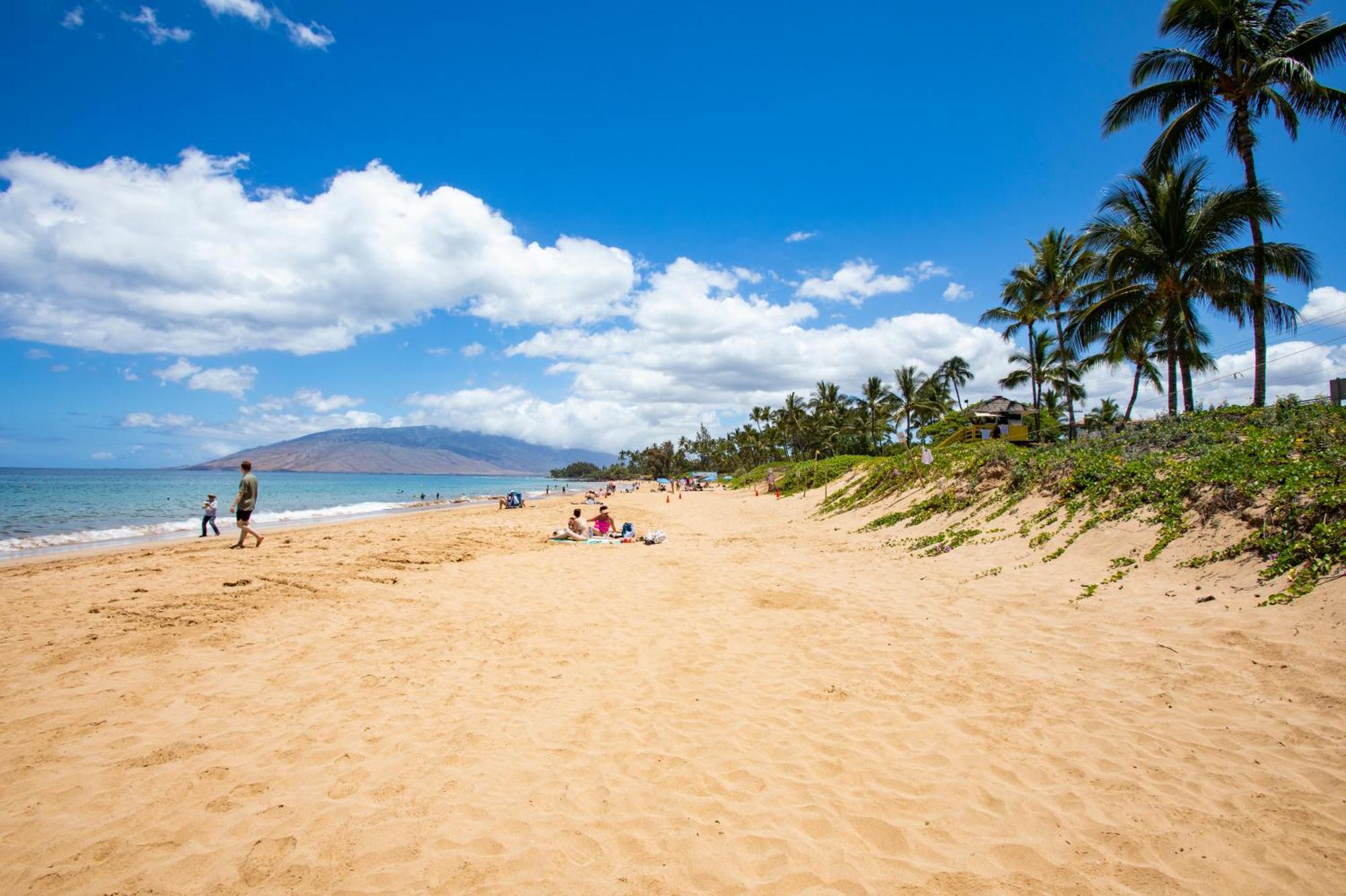 Charming Loft 2br With Free Parking & Near Beach! * Kihei